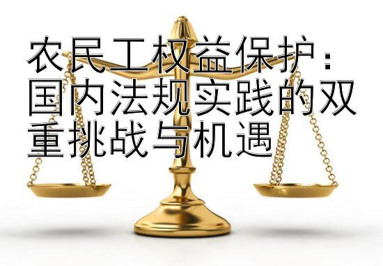 农民工权益保护：国内法规实践的双重挑战与机遇