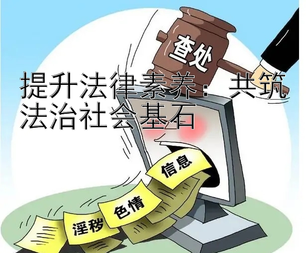 提升法律素养：共筑法治社会基石