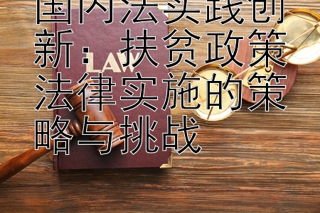 国内法实践创新：扶贫政策法律实施的策略与挑战