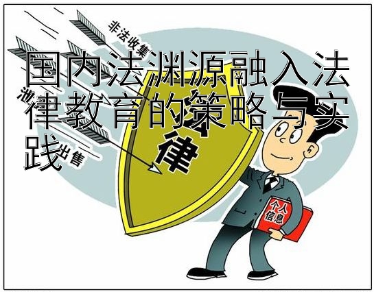 国内法渊源融入法律教育的策略与实践