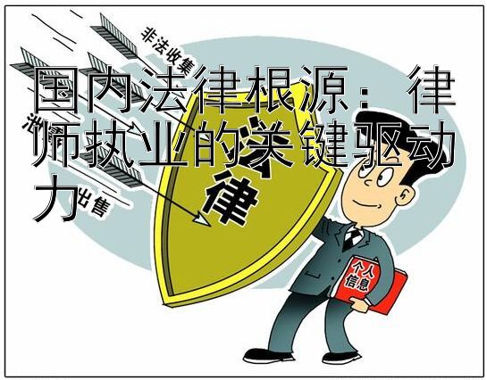 国内法律根源：律师执业的关键驱动力