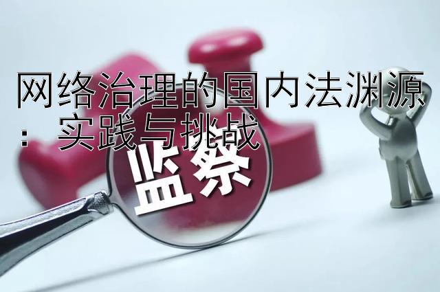 网络治理的国内法渊源：实践与挑战