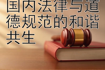 国内法律与道德规范的和谐共生