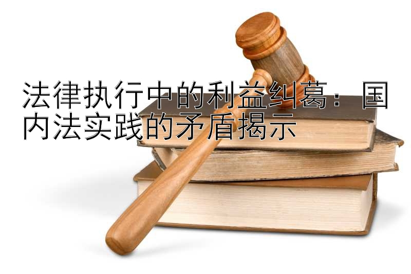 法律执行中的利益纠葛：国内法实践的矛盾揭示