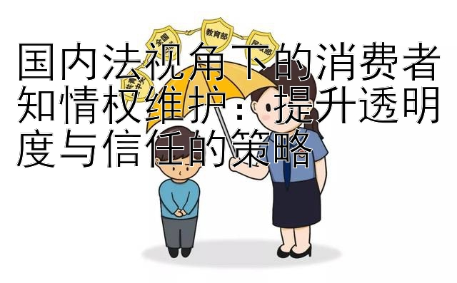 国内法视角下的消费者知情权维护：提升透明度与信任的策略