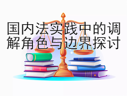 国内法实践中的调解角色与边界探讨