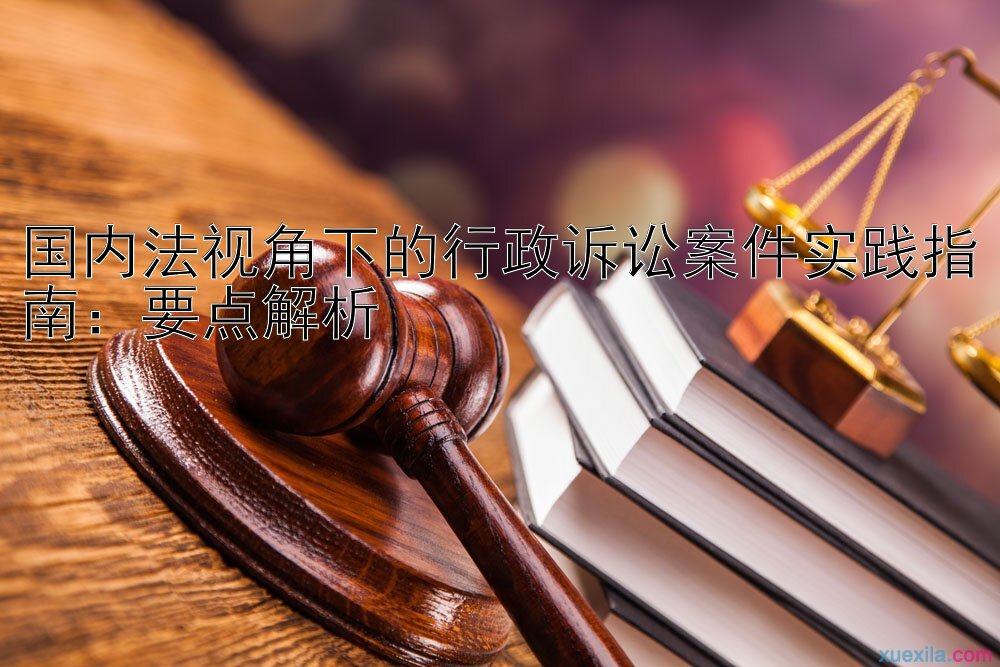 国内法视角下的行政诉讼案件实践指南：要点解析