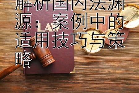 解析国内法渊源：案例中的适用技巧与策略