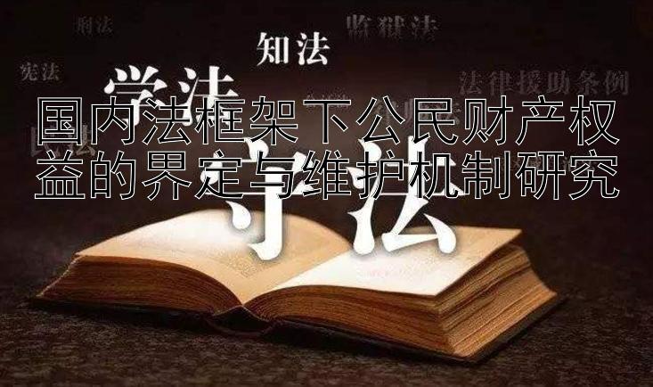 国内法框架下公民财产权益的界定与维护机制研究