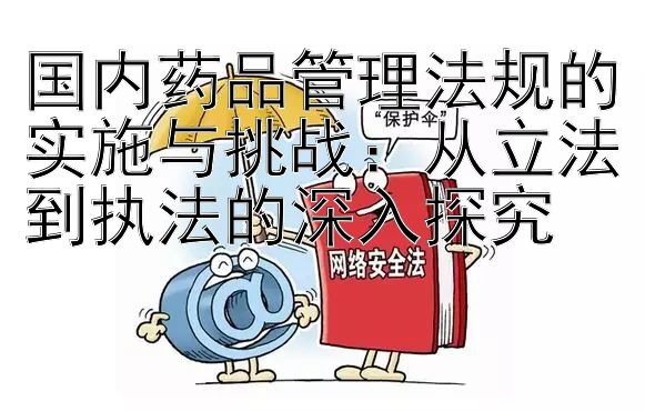 国内药品管理法规的实施与挑战：从立法到执法的深入探究