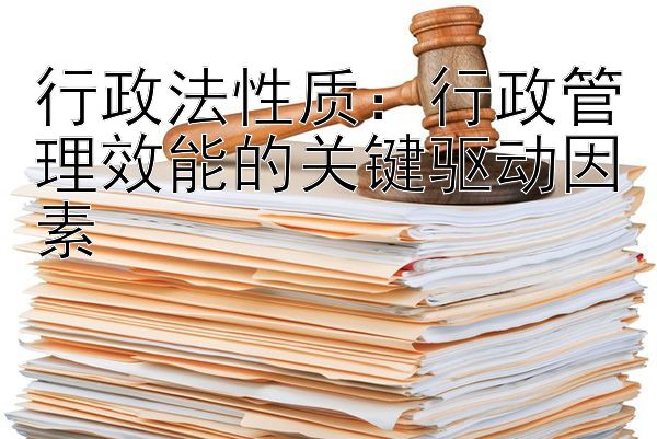 行政法性质：行政管理效能的关键驱动因素