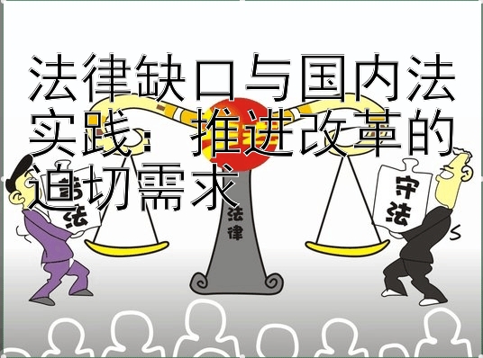 法律缺口与国内法实践：推进改革的迫切需求