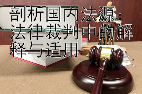 剖析国内法源：法律裁判中的解释与适用