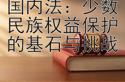 国内法：少数民族权益保护的基石与挑战