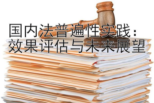 国内法普遍性实践：效果评估与未来展望