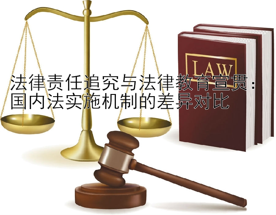 法律责任追究与法律教育宣贯：国内法实施机制的差异对比