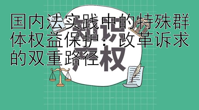 国内法实践中的特殊群体权益保护：改革诉求的双重路径