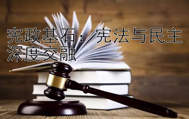 宪政基石：宪法与民主深度交融