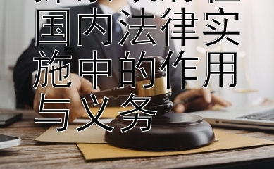 探索政府在国内法律实施中的作用与义务