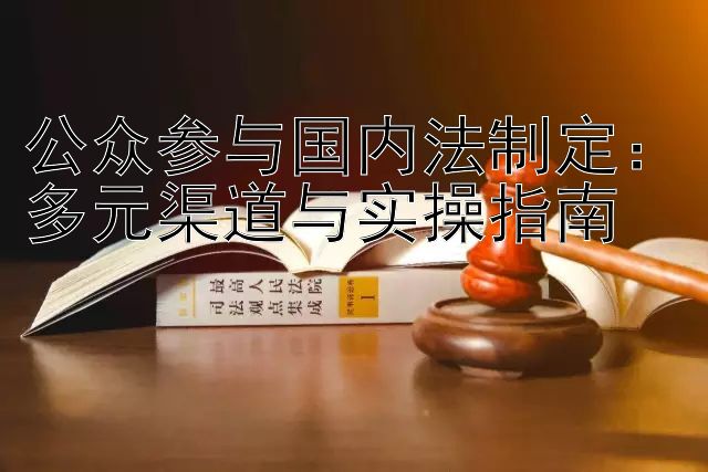 公众参与国内法制定：多元渠道与实操指南