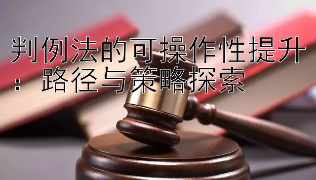 判例法的可操作性提升：路径与策略探索