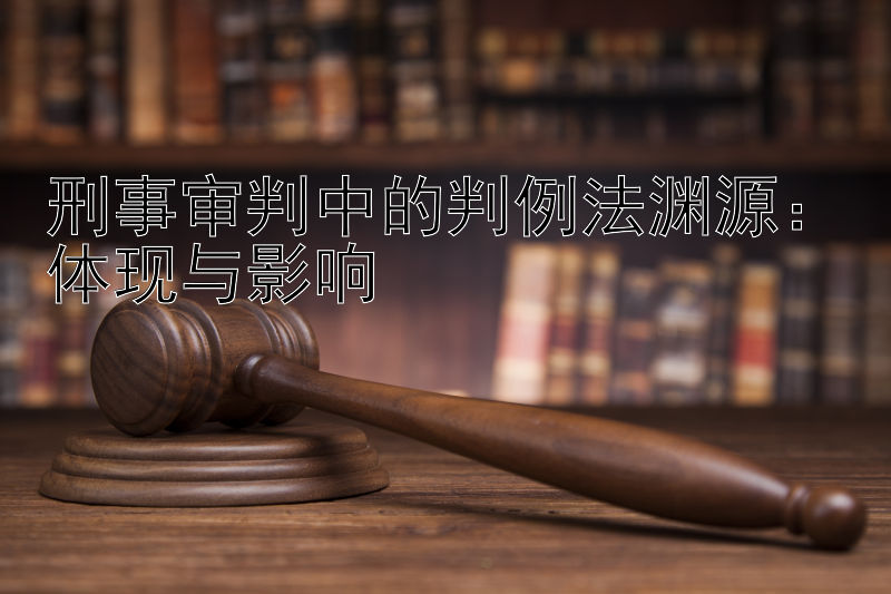 刑事审判中的判例法渊源：体现与影响