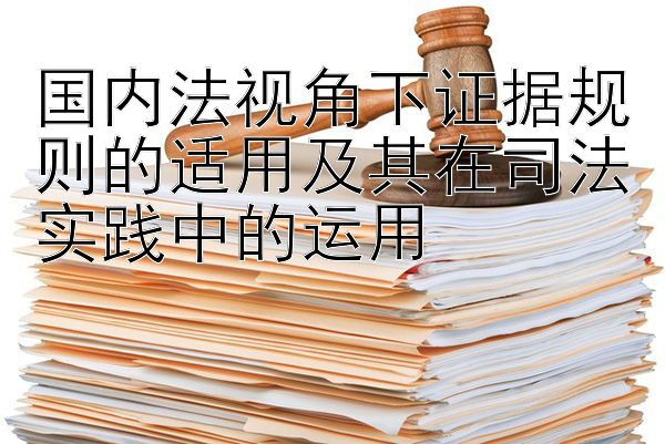 国内法视角下证据规则的适用及其在司法实践中的运用