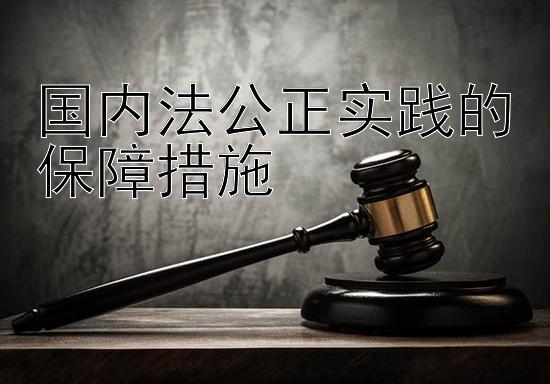 国内法公正实践的保障措施