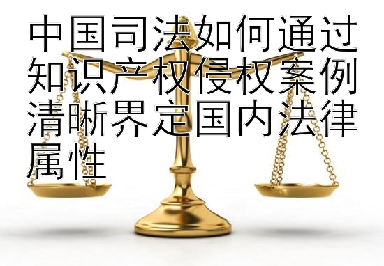 中国司法如何通过知识产权侵权案例清晰界定国内法律属性