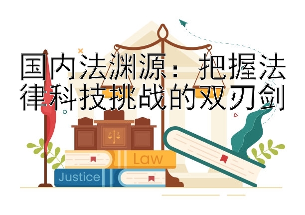 国内法渊源：把握法律科技挑战的双刃剑