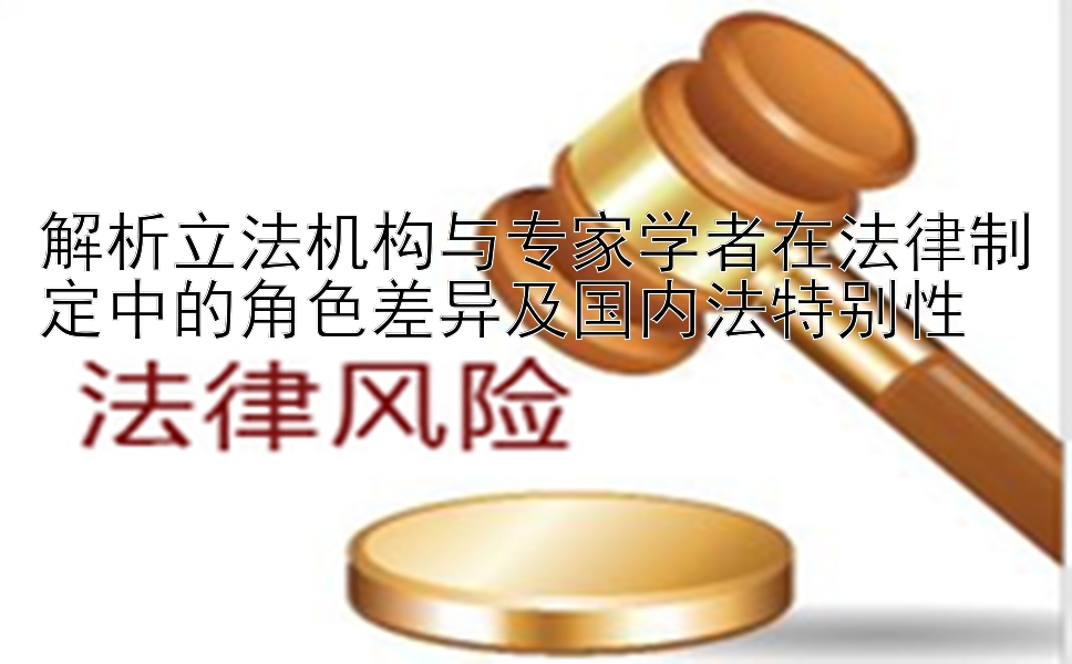 解析立法机构与专家学者在法律制定中的角色差异及国内法特别性