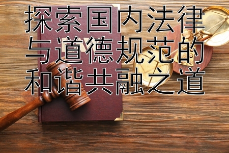 探索国内法律与道德规范的和谐共融之道