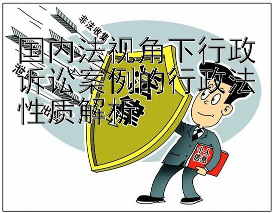 国内法视角下行政诉讼案例的行政法性质解析