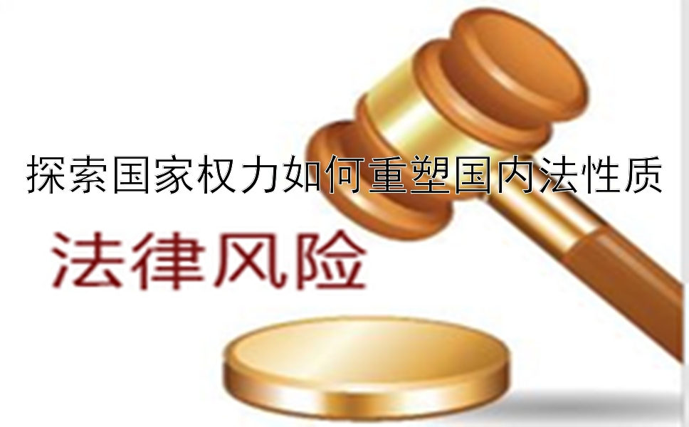 探索国家权力如何重塑国内法性质