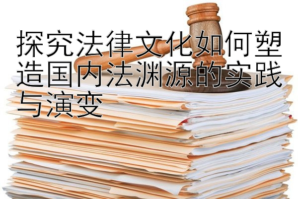 探究法律文化如何塑造国内法渊源的实践与演变