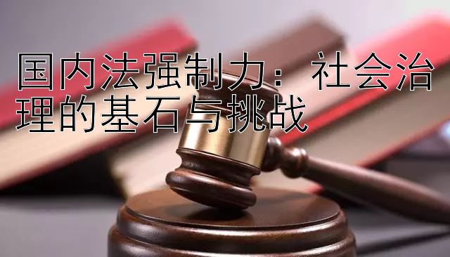 国内法强制力：社会治理的基石与挑战