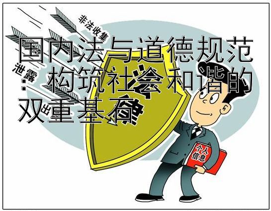 国内法与道德规范：构筑社会和谐的双重基石