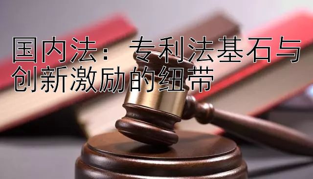 国内法：专利法基石与创新激励的纽带