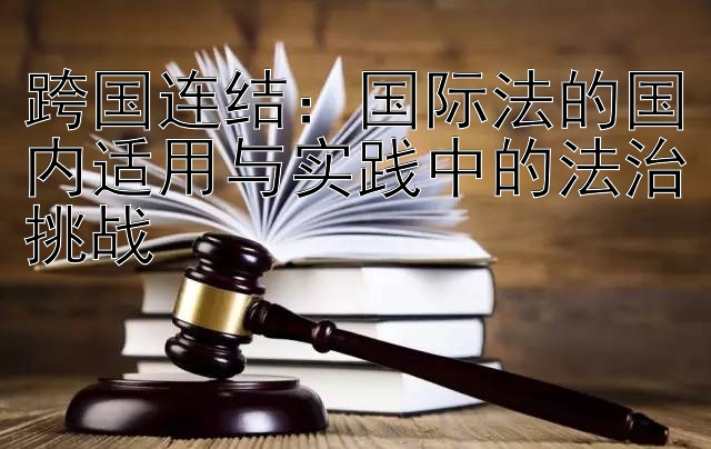 跨国连结：国际法的国内适用与实践中的法治挑战