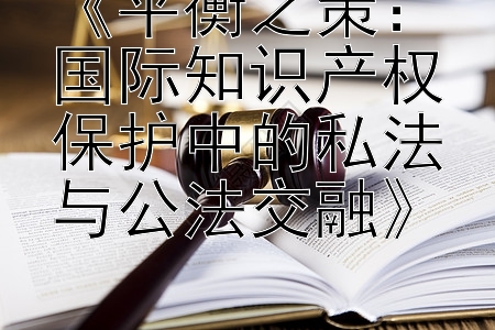 《平衡之策：国际知识产权保护中的私法与公法交融》