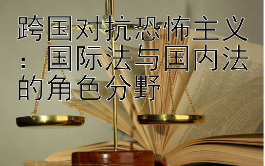 跨国对抗恐怖主义：国际法与国内法的角色分野