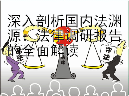 深入剖析国内法渊源：法律调研报告的全面解读