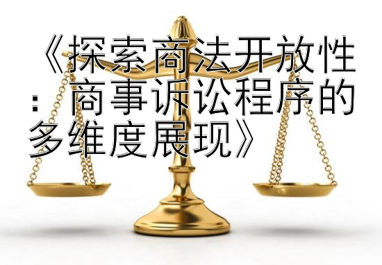 《探索商法开放性：商事诉讼程序的多维度展现》