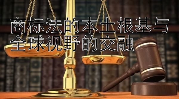 商标法的本土根基与全球视野的交融