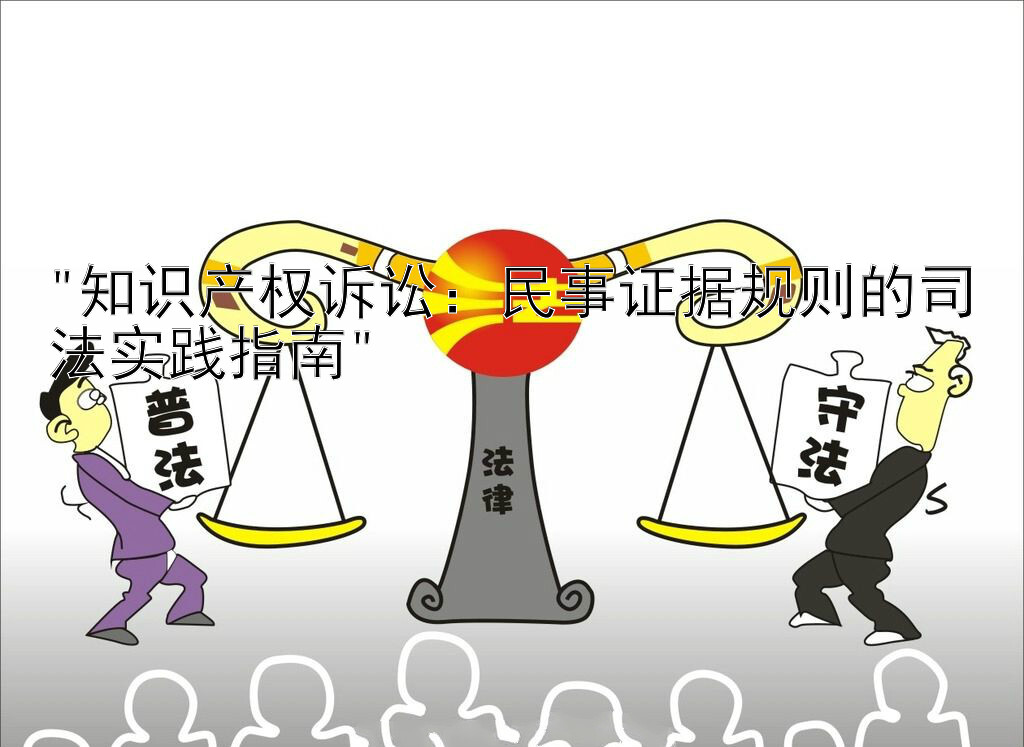 知识产权诉讼：民事证据规则的司法实践指南