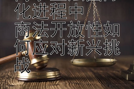 商事立法国际化进程中  
商法开放性如何应对新兴挑战