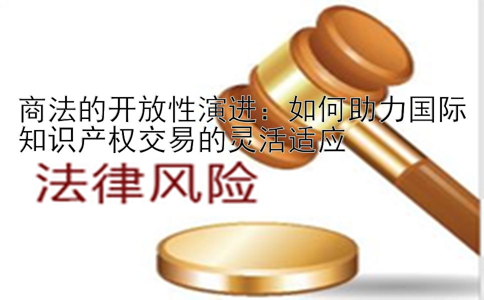 商法的开放性演进：如何助力国际知识产权交易的灵活适应