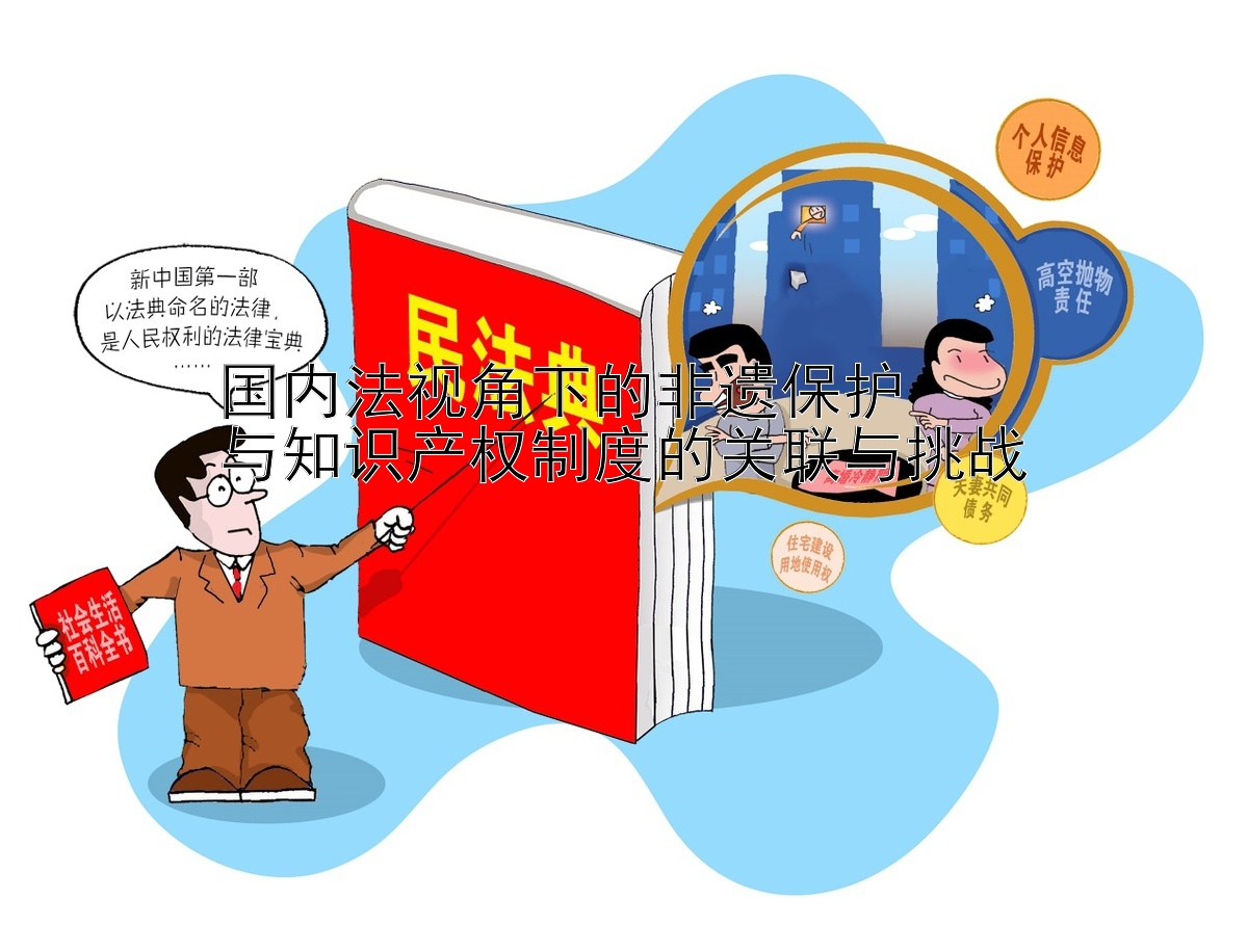 国内法视角下的非遗保护  
与知识产权制度的关联与挑战