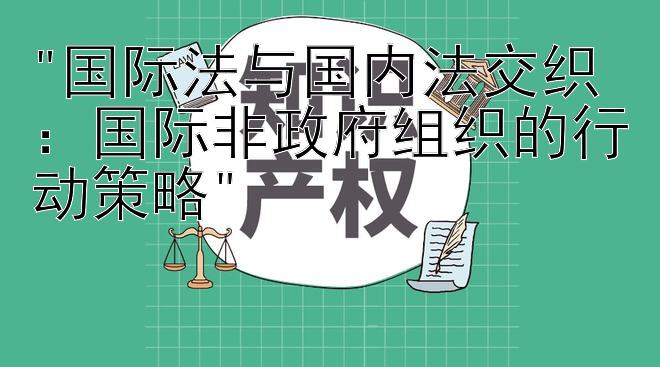 国际法与国内法交织：国际非政府组织的行动策略