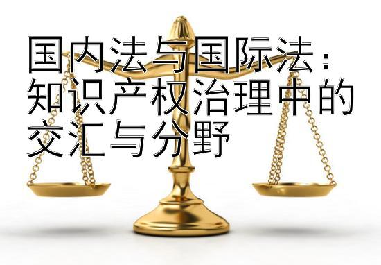 国内法与国际法：知识产权治理中的交汇与分野